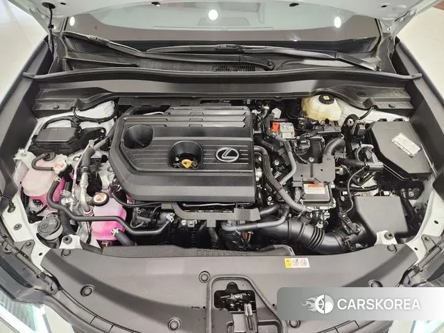 Lexus UX300h 2025 Белый из Кореи, фото 3