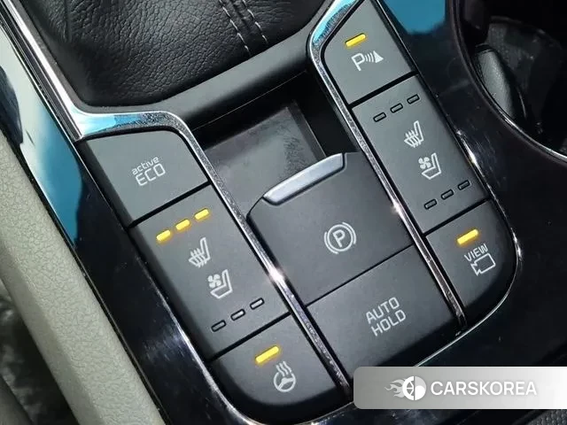 Kia The New Carnival 2018 Белый из Кореи, фото 3