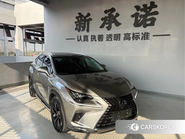 Lexus NX 2019 Шампань из Китая, фото 3