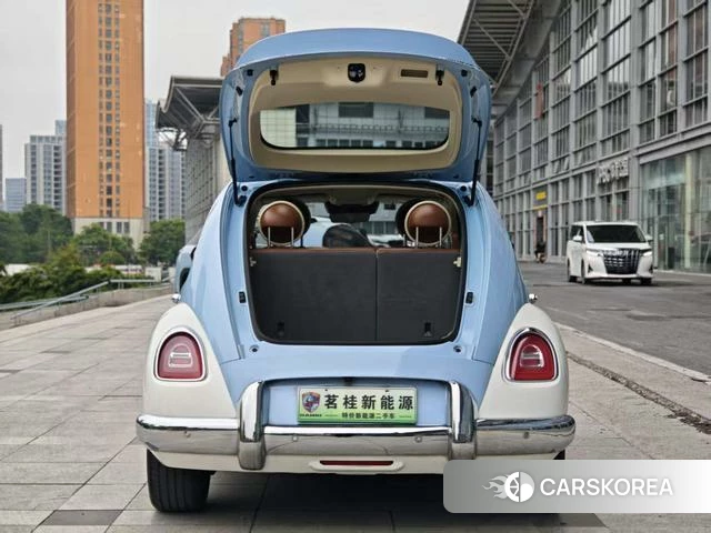 Euler Ballet cat 2023 Синий из Китая, фото 3
