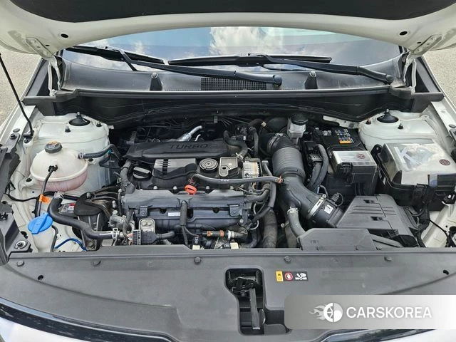 Kia Sportage 5th Generation 2023 Белый из Кореи, фото 3