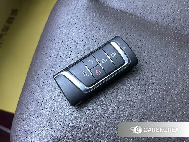 GAC Trumpchi Trumpchi GS5 2019 Белый из Китая, фото 3