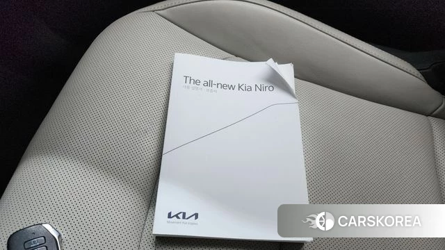 Kia Di Ol Nu Niro 2022 Белый из Кореи, фото 3