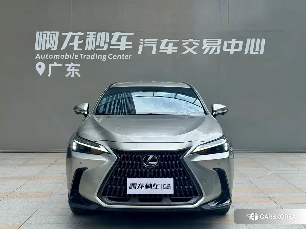 Lexus NX 2024 Silver/gray из Китая, фото 3
