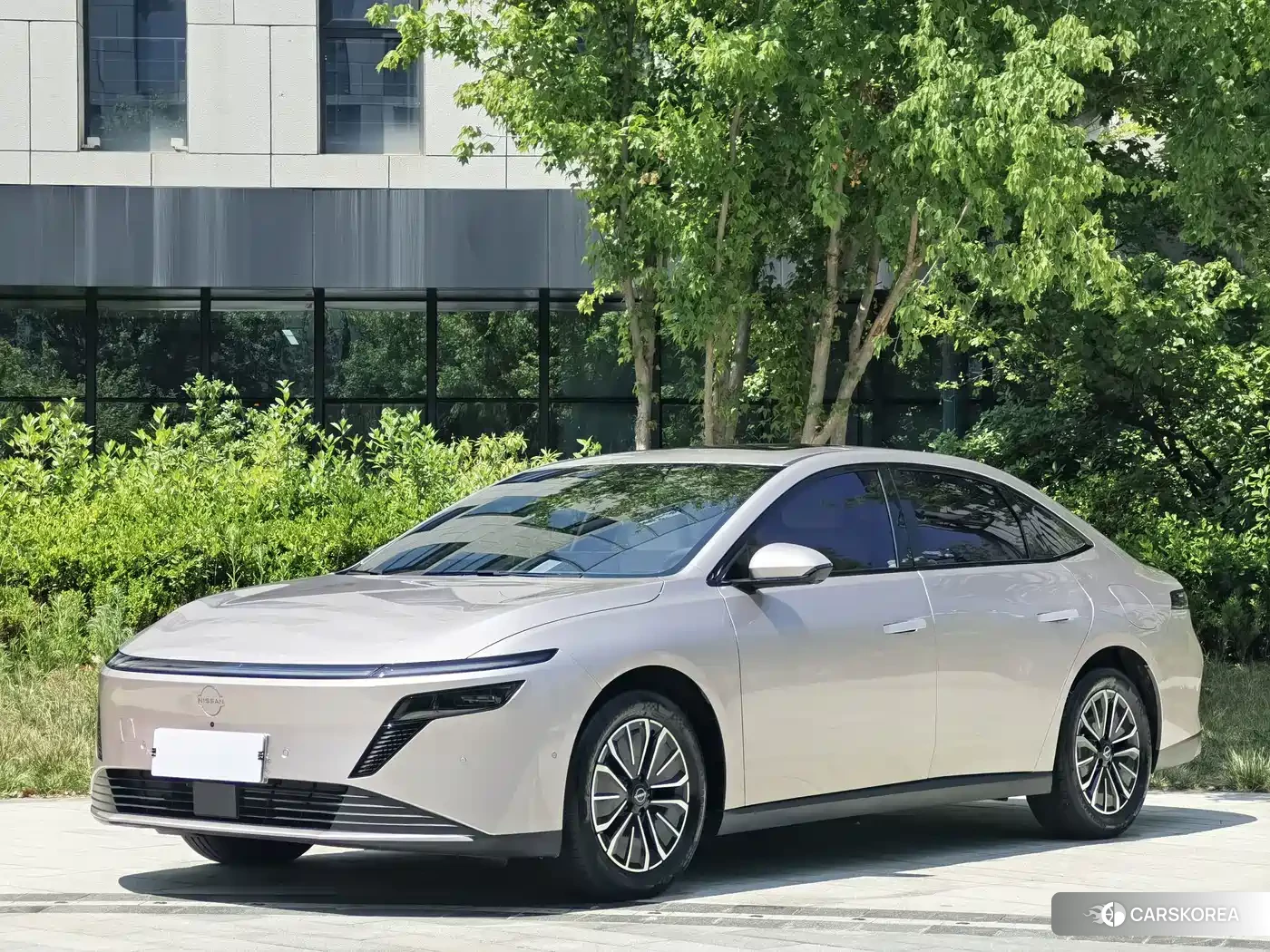 Nissan N6 2026 Champagne/brown из Китая, фото 3