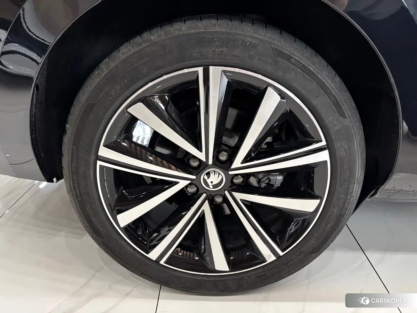 Skoda Speed pie 2025 Черный из Китая, фото 3