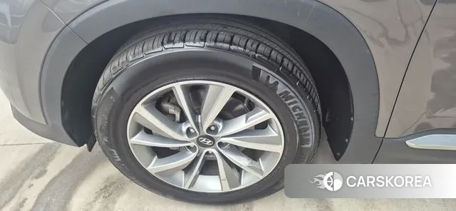 Hyundai Santa Fe TM 2019 Цвет тростника из Кореи, фото 3