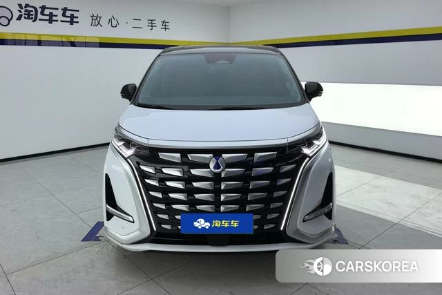 Denza D9 DM 2023 Белый из Китая, фото 3