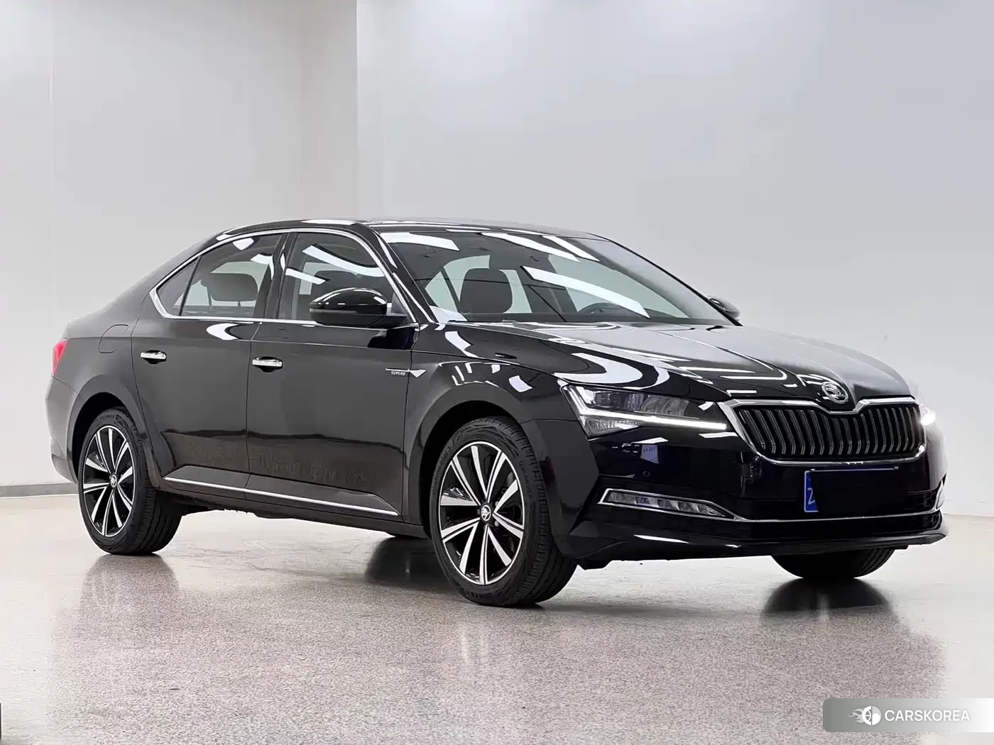 Skoda Speed pie 2025 Черный из Китая, фото 3