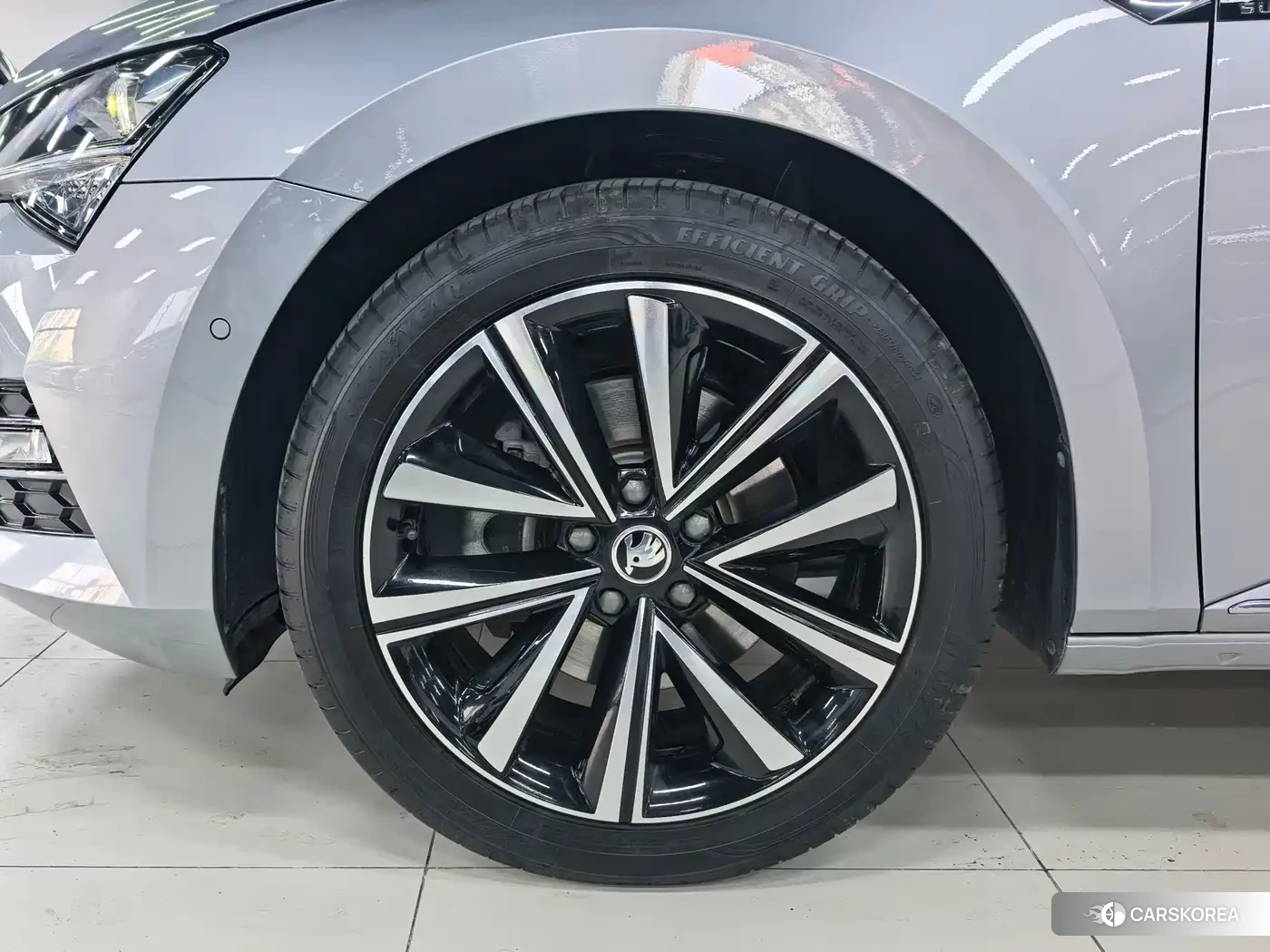 Skoda Speed pie 2023 Silver/gray из Китая, фото 3