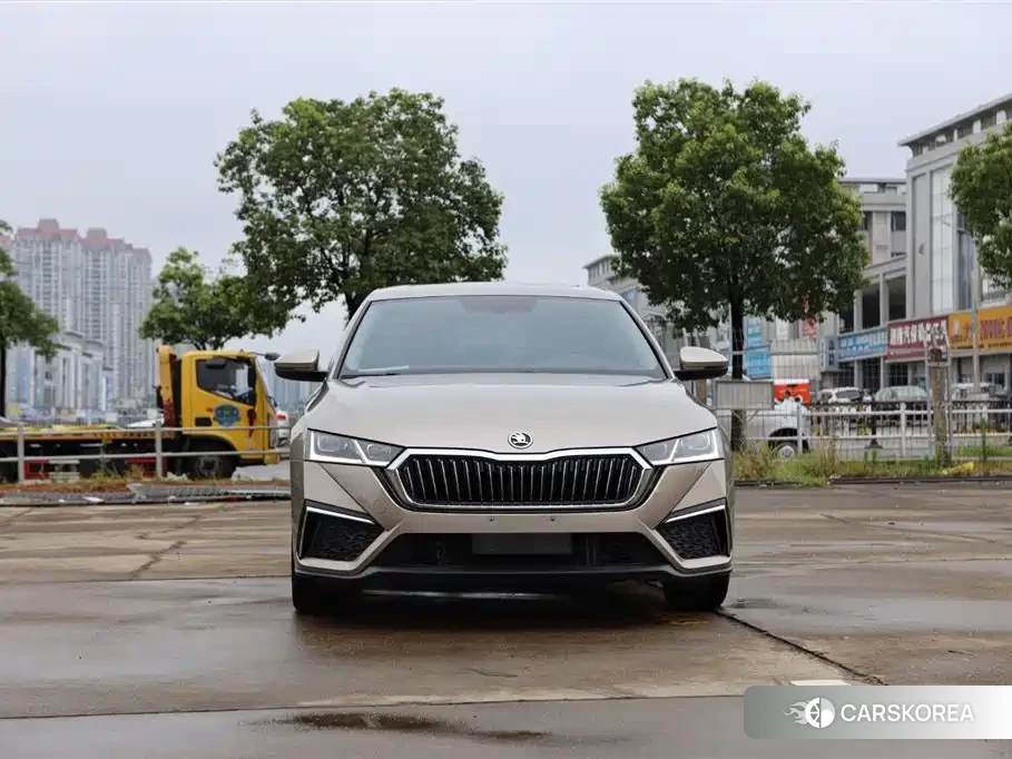 Skoda Octavia 2022 Champagne/brown из Китая, фото 3