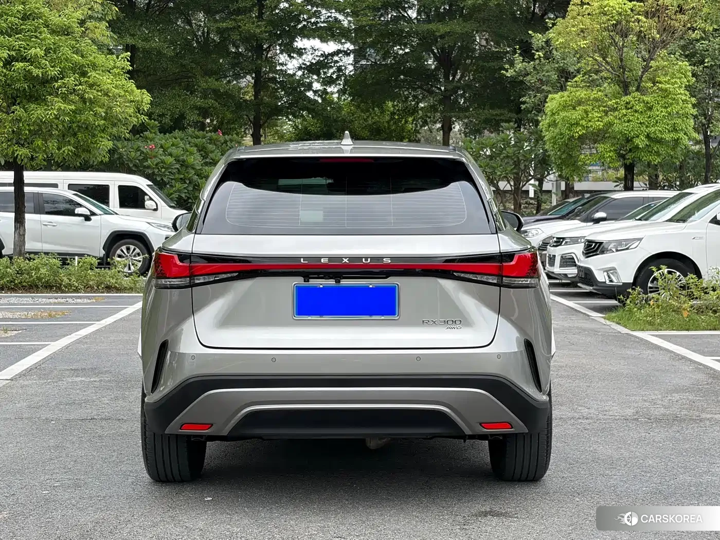 Lexus RX 2025 Silver/gray из Китая, фото 3