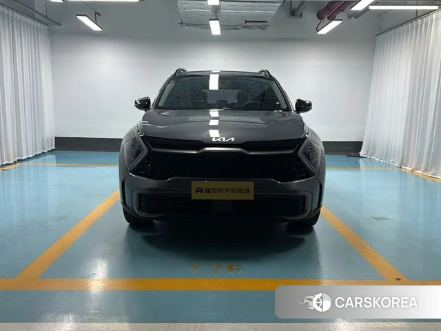 Kia Lion Platinum expands the world 2024 Темно-серый из Китая, фото 3