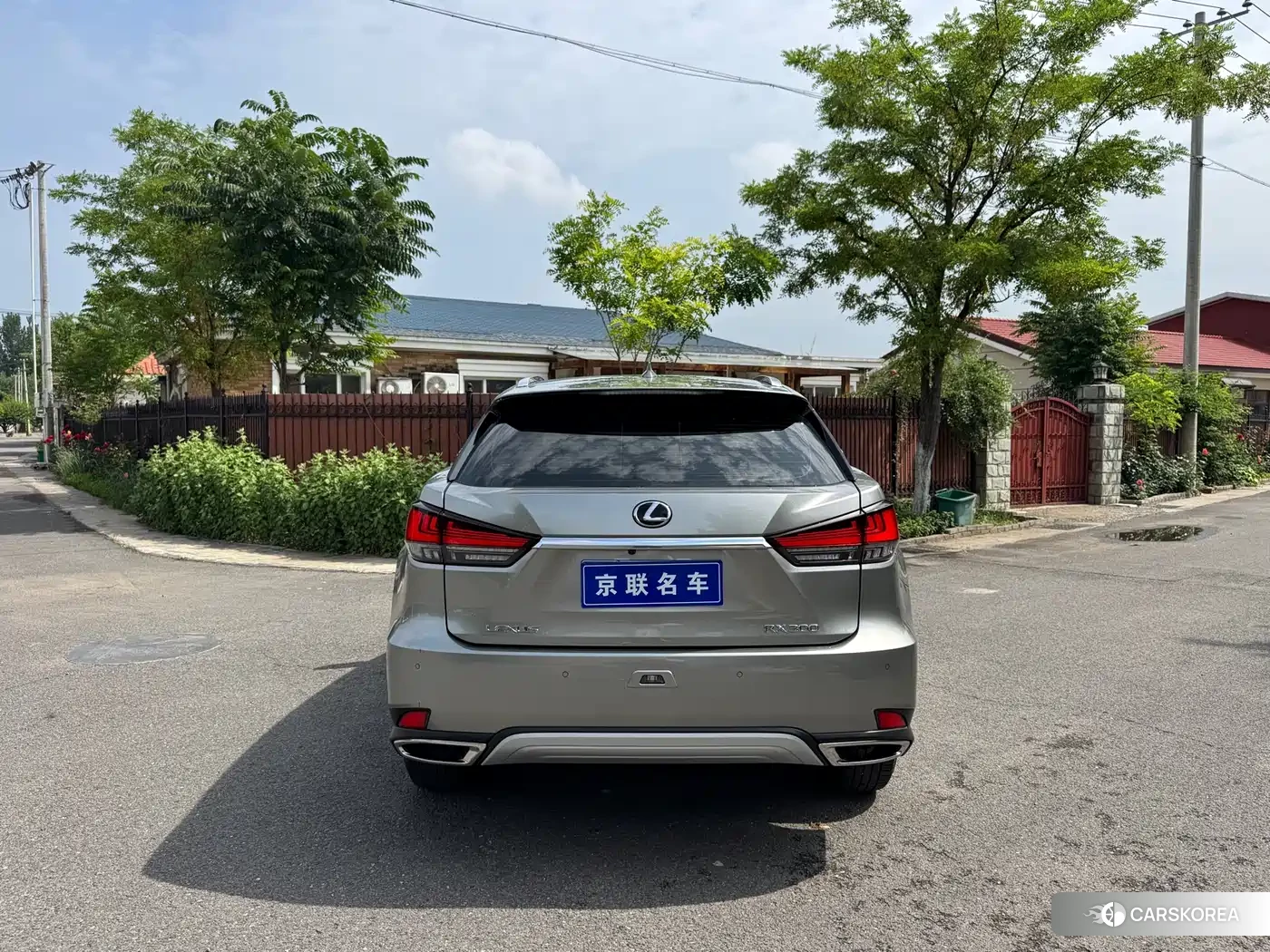Lexus RX 2022 Silver/gray из Китая, фото 3