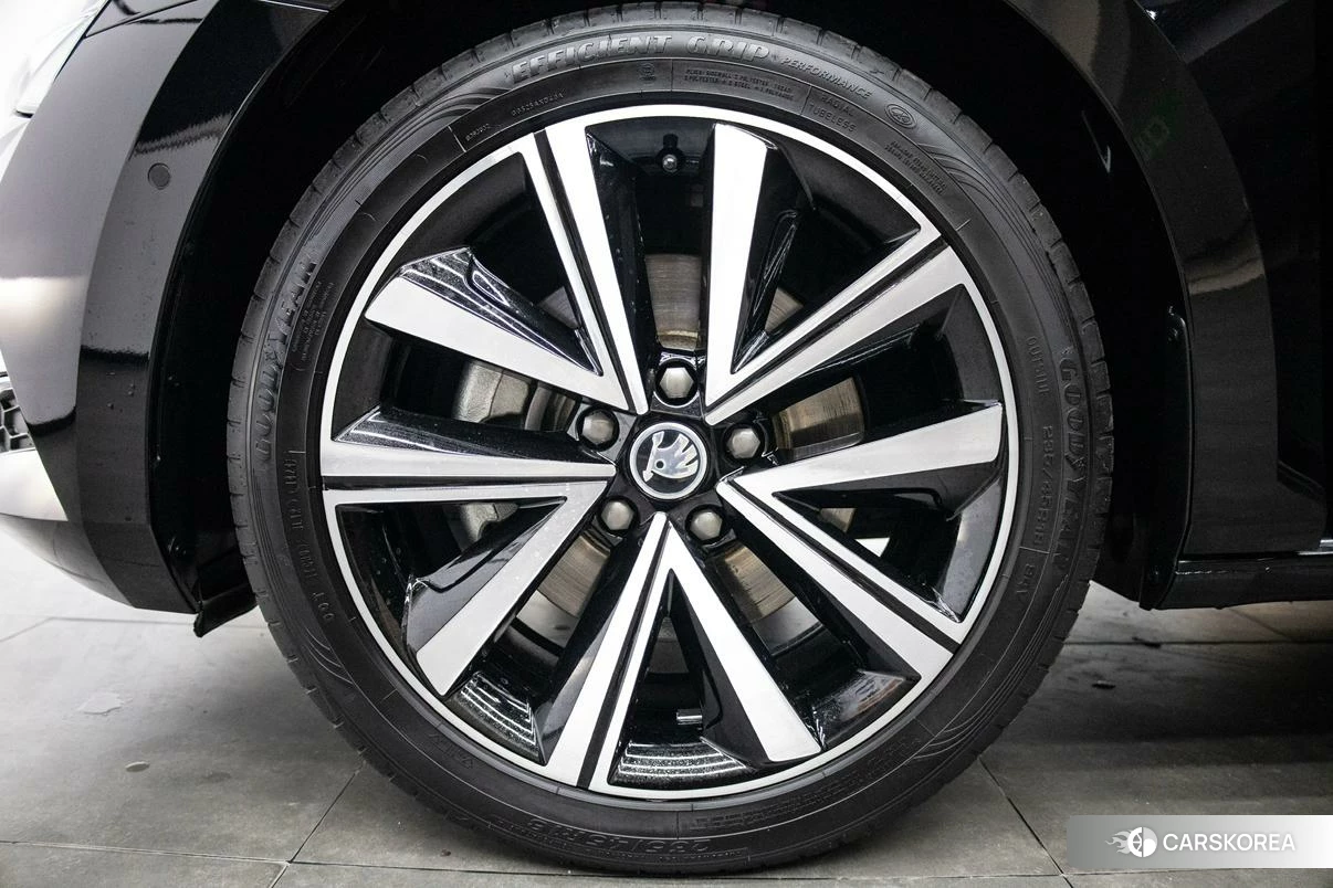Skoda Speed pie 2023 Черный из Китая, фото 3