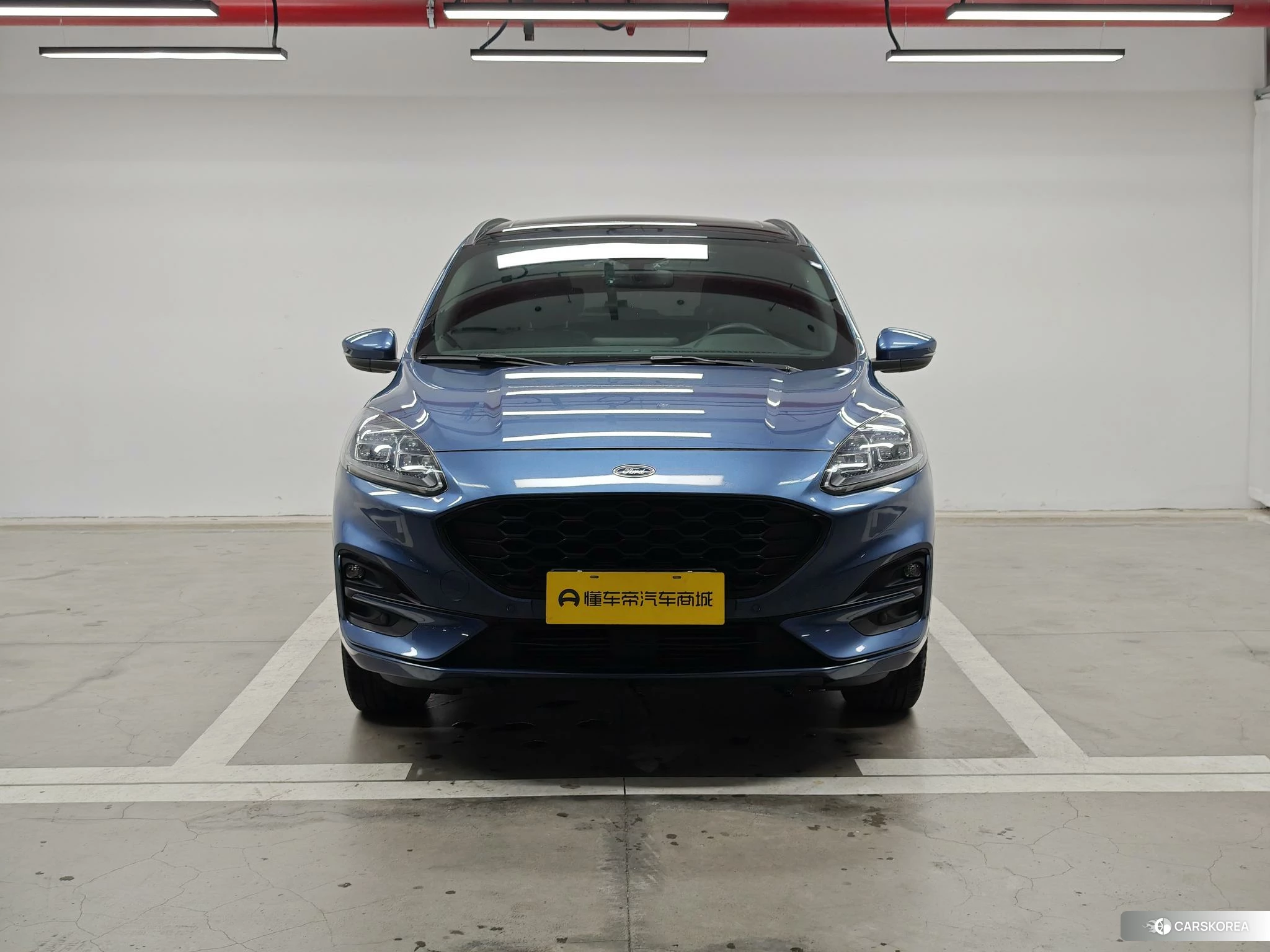 Ford Ruiji 2019 Синий из Китая, фото 3