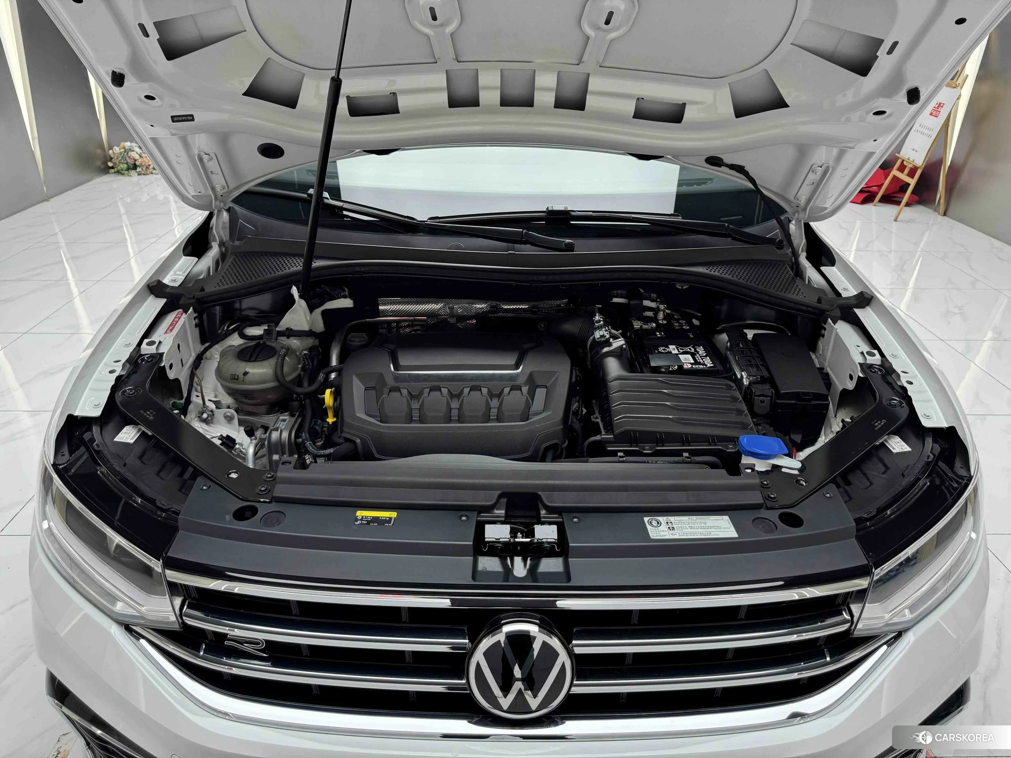 Volkswagen Tiguan L 2023 Белый из Китая, фото 4