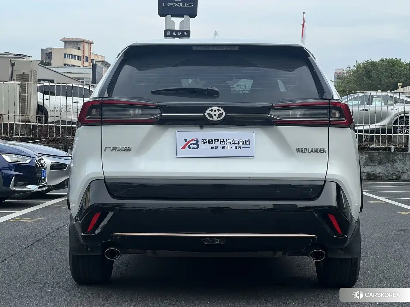 Toyota Wildlander 2022 Белый из Китая, фото 4