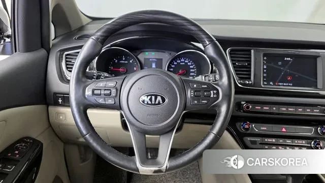 Kia The New Carnival 2020 Белый из Кореи, фото 4