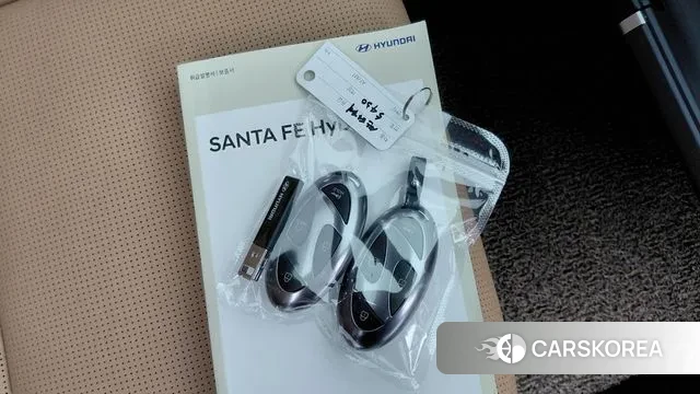 Hyundai Santa Fe (MX5) 2024 Белый из Кореи, фото 4