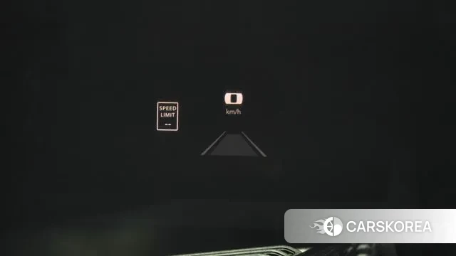 Dodge Lampicup 2021 Серый из Кореи, фото 4