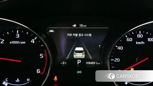 Kia The New Carnival 2019 Белый из Кореи, фото 4