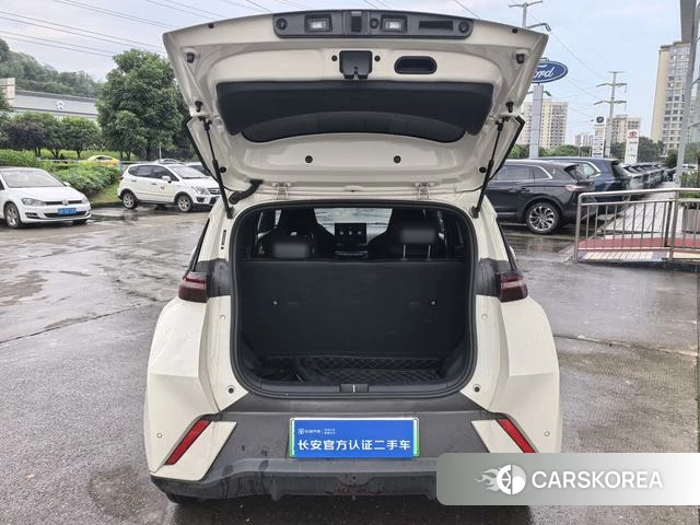 BYD Seagull 2025 Другой из Китая, фото 4