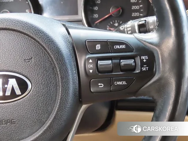 Kia The New Carnival 2020 Белый из Кореи, фото 4