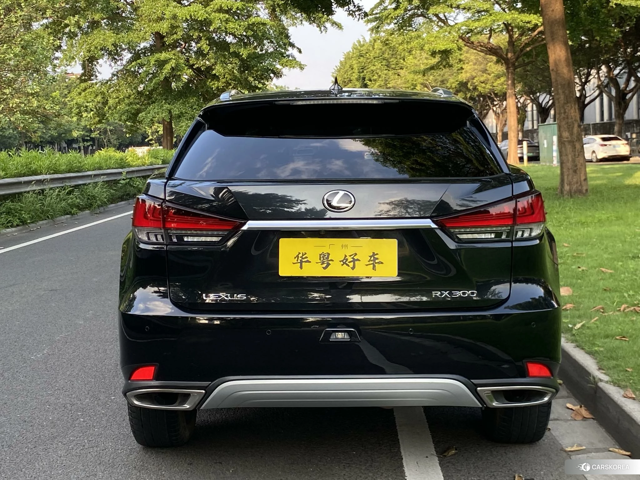 Lexus RX 2020 Черный из Китая, фото 4