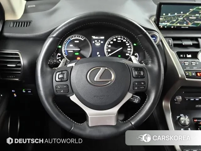 Lexus NX300h 2019 Белый из Кореи, фото 4