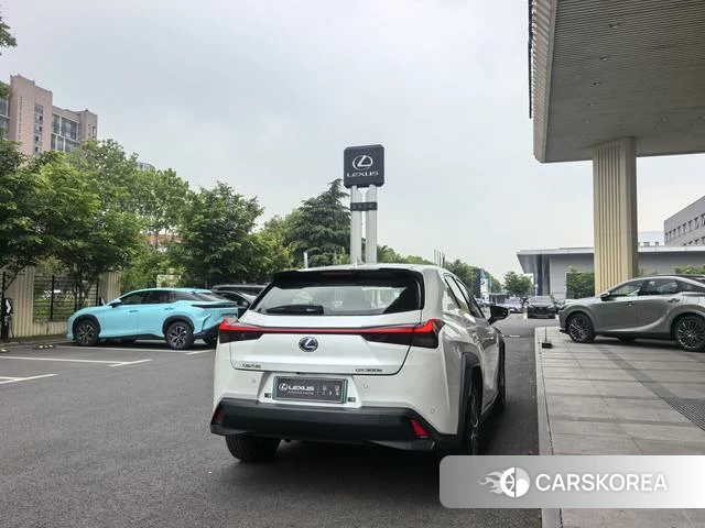 Lexus UX EV 2021 Белый из Китая, фото 4