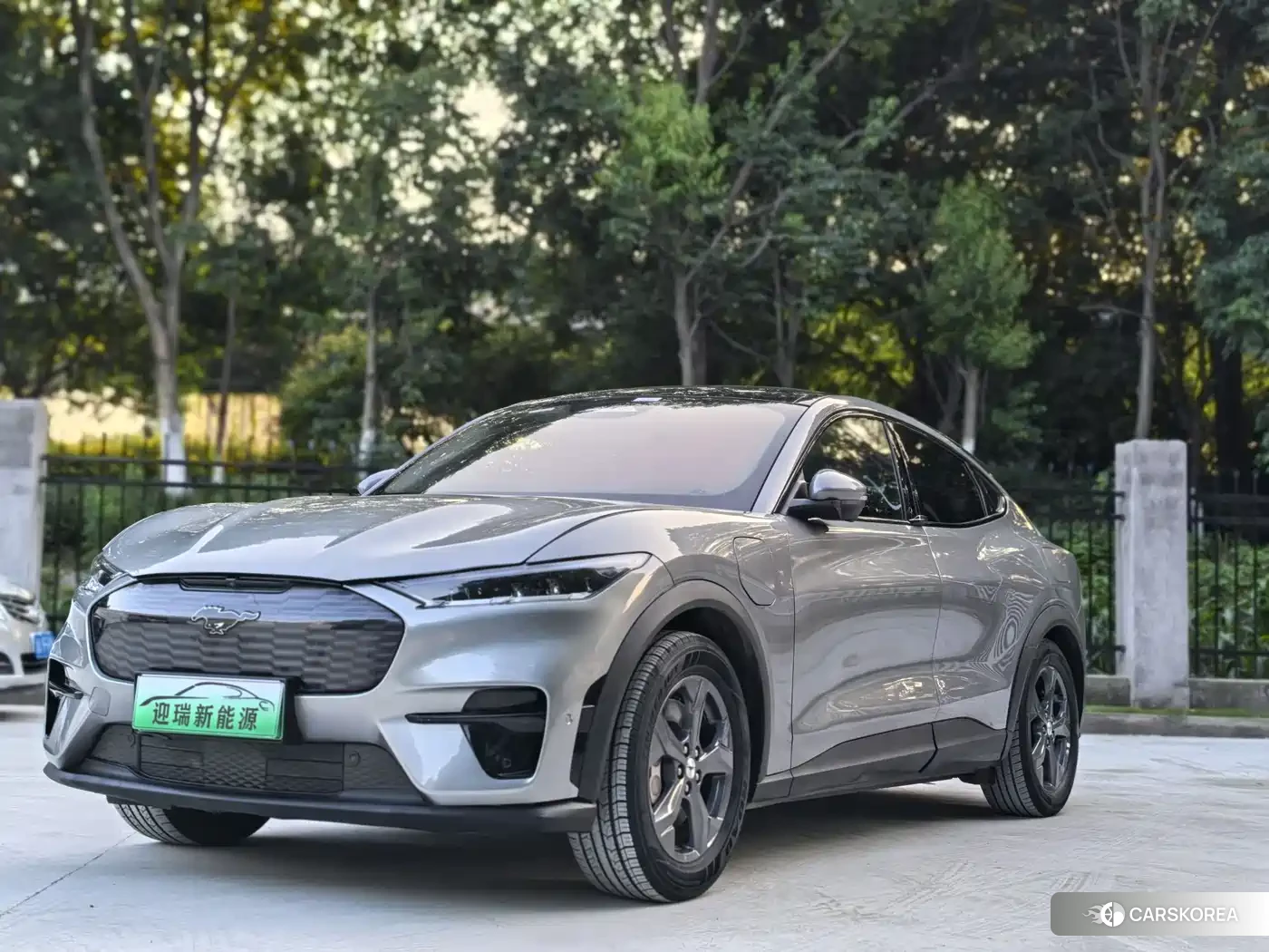 Ford Electric horse 2022 Silver/gray из Китая, фото 4