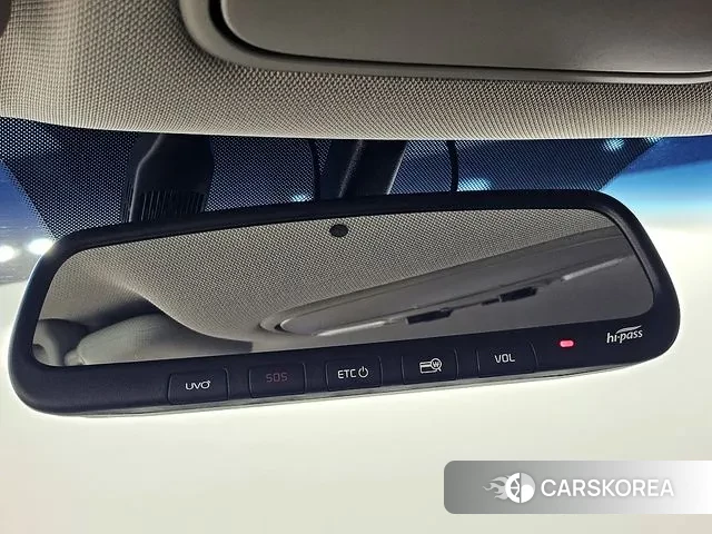 Kia The New Carnival 2020 Жемчужный цвет из Кореи, фото 4