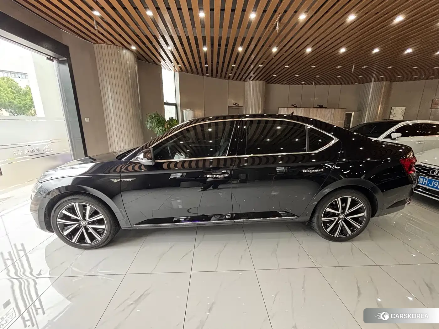 Skoda Speed pie 2025 Черный из Китая, фото 4