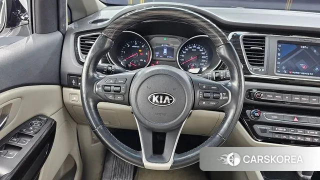 Kia The New Carnival 2020 Белый из Кореи, фото 4