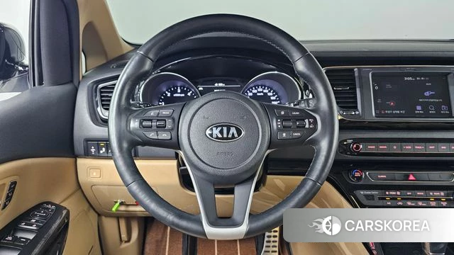 Kia The New Carnival 2018 Белый из Кореи, фото 4