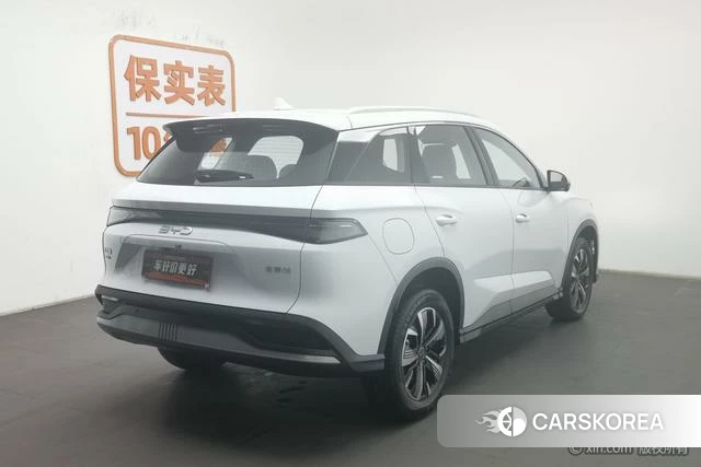 BYD Sea Lion 05DM 2025 Белый из Китая, фото 4