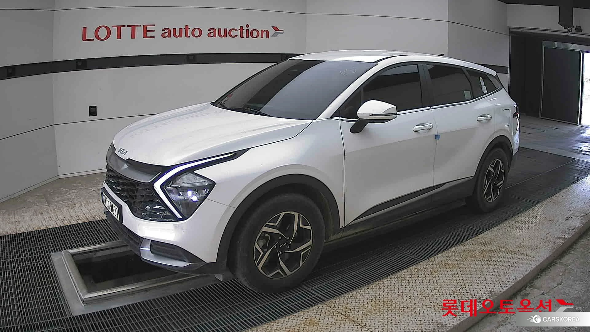 Kia Sportage 2024 Snow White Pearl из Кореи, фото 4
