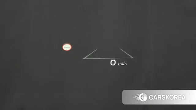 Kia The New Carnival 4th Generation 2024 Белый из Кореи, фото 4