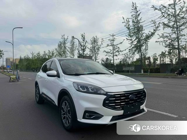 Ford Ruiji 2021 Белый из Китая, фото 4