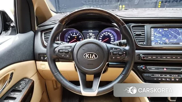 Kia The New Carnival 2019 Белый из Кореи, фото 4