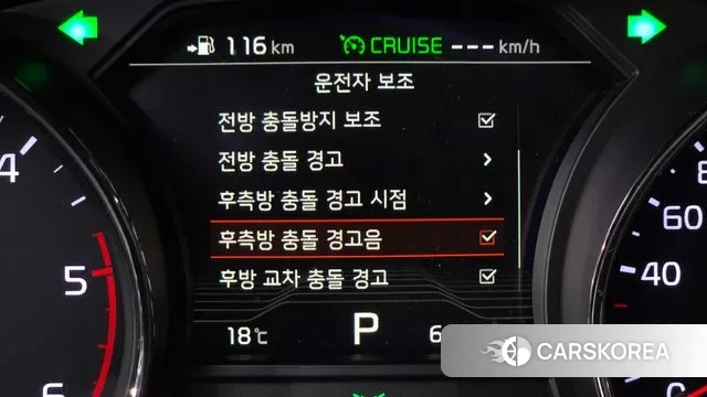 Kia The New Carnival 2019 Белый из Кореи, фото 4