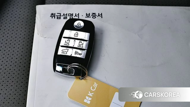 Kia The New Carnival 2018 Серый из Кореи, фото 4