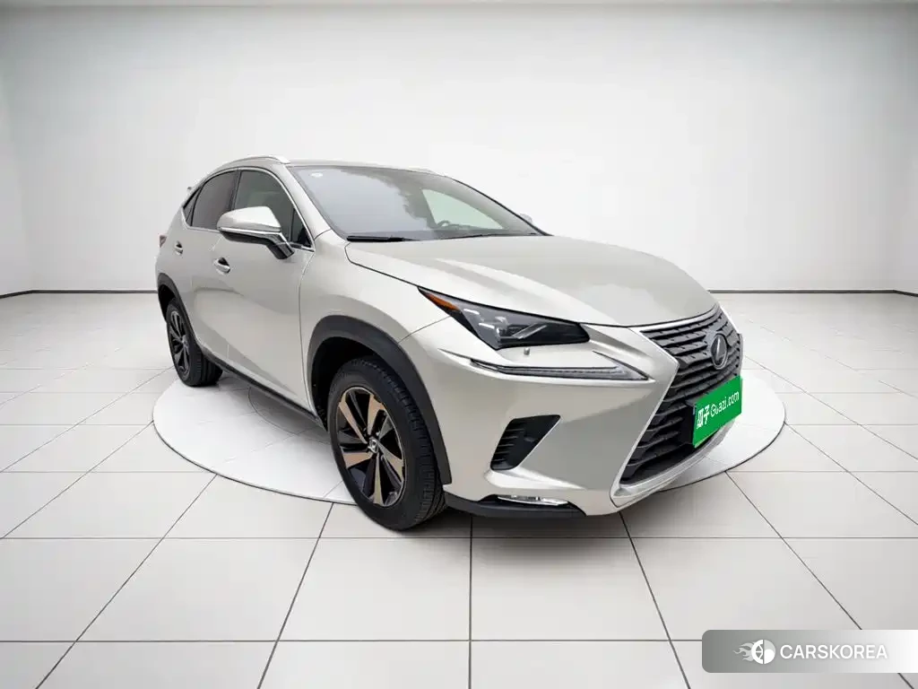 Lexus NX 2021 Silver/gray из Китая, фото 4