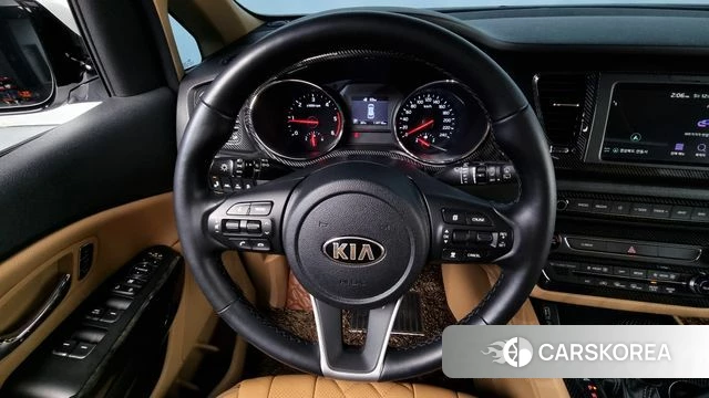 Kia The New Carnival 2020 Белый из Кореи, фото 4