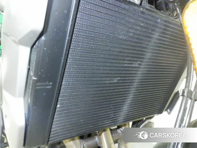 Проданный Triumph TRIDENT 660 2021 из Японии