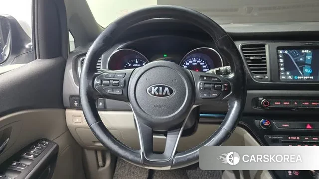 Kia The New Carnival 2019 Белый из Кореи, фото 4
