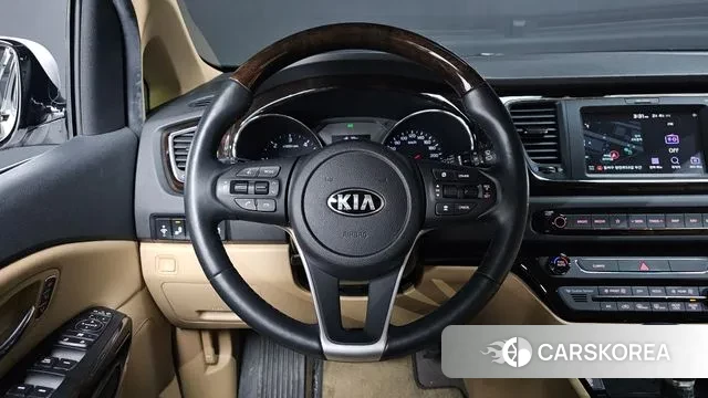 Kia The New Carnival 2020 Белый из Кореи, фото 4