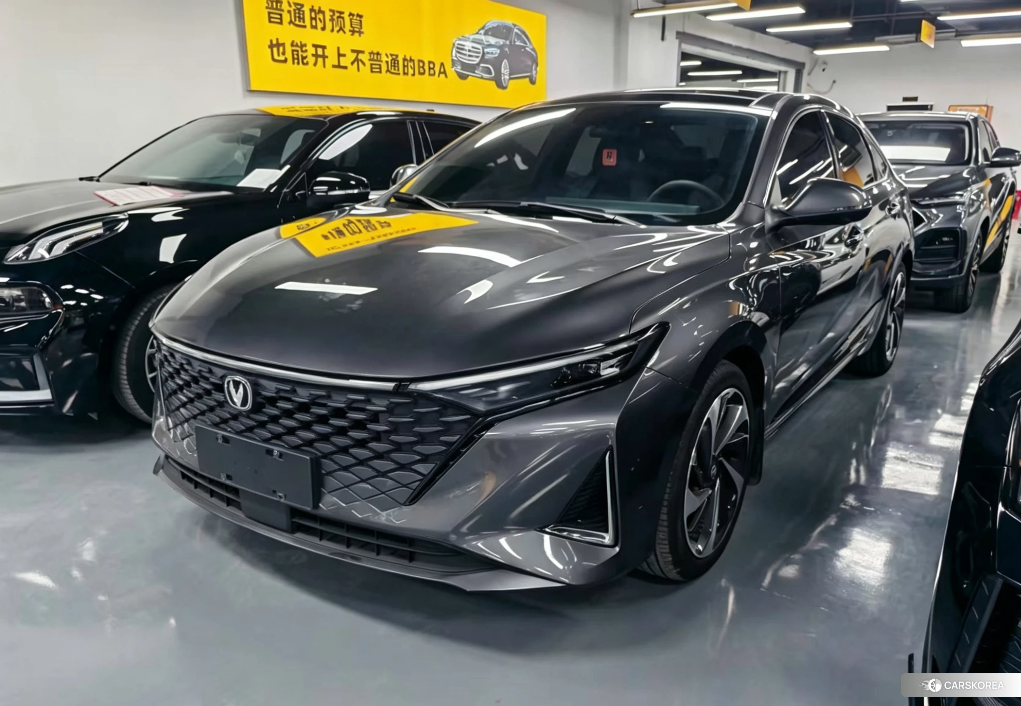 Chang'an Ruicheng PLUS 2022 Темно-серый из Китая, фото 4