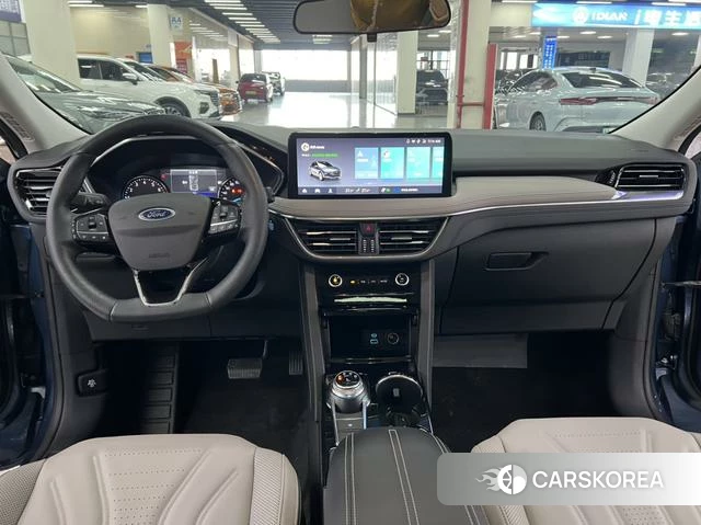 Ford Ruiji 2021 Синий из Китая, фото 4